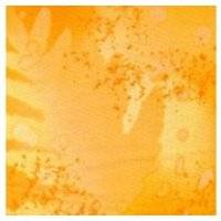 Gelb & Orange