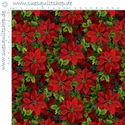 Elizabeths Studio Red Christmas Poinsettias Weihnachtssterne rot
