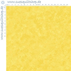 Makower Spraytime Daffodil
