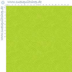 Dashwood Studio Twist lime