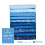 Windham Fat Quarter Bundle Color Me Blue Jeans 10 FQ   